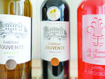 SMARTBOX - Coffret Cadeau Coffret de vins à déguster à la maison -  Gastronomie