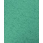 Protège-cahier en carte lustrée vert  format 18 x 22 cm