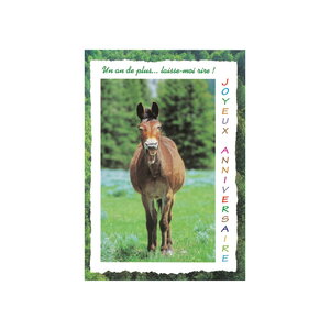 Carte de voeux - anniversaire - cheval "un an de plus ... Laisse-moi rire !"