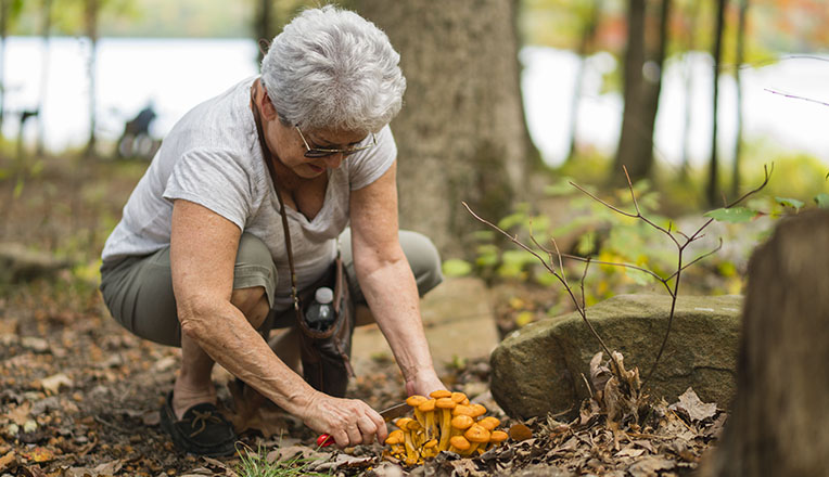 5 excellentes raisons de partir à la cueillette des champignons