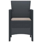 vidaXL Chaises de jardin avec coussins 2 Pièces Anthracite Poly Rattan