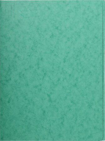 Chemise carte lustrée, A4, vert 24 x 32 cm EXACOMPTA