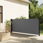 vidaXL Store latéral rétractable Anthracite 100x300 cm