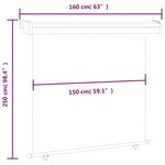 vidaXL Auvent latéral de balcon 165x250 cm noir