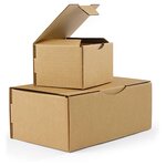 Boîte carton brune d'expédition rajapost 25x20x10 cm (lot de 50)