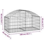 vidaXL Panier de gabions arqué 100x50x40/60 cm Fer galvanisé