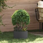 vidaXL Pots en plastique noirs Noir Plastique Moyen Durable
