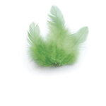 Sachet 3 Gr Plumes De Coq Vert Clair Ht.100