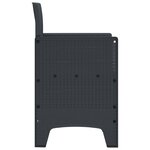 vidaXL Chaises de Jardin 2 Pièces Anthracite Poly Rattan
