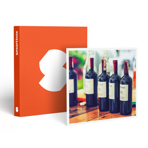 SMARTBOX - Coffret Cadeau Découverte d’un vignoble de Provence et de sa cave avec dégustation pour 6 personnes -  Gastronomie