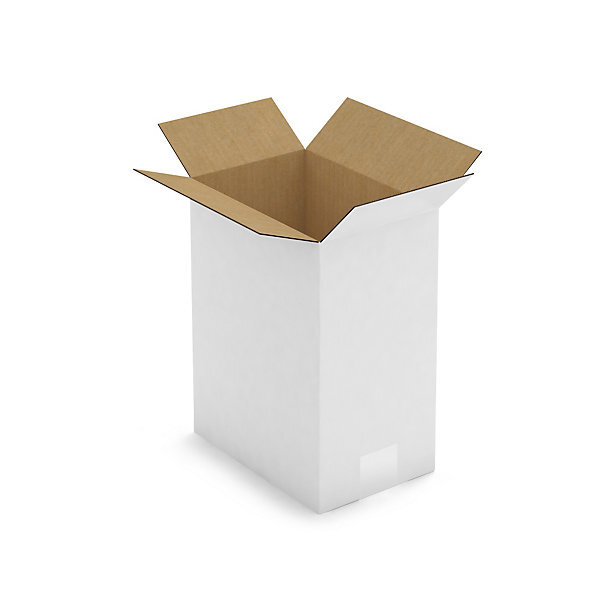 Caisse carton blanche simple cannelure raja 23x15 5x30 cm (lot de 25)