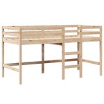 vidaXL Lit superposé et échelle et toit 90x200 cm bois de pin massif