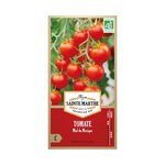 Tomate miel du Mexique bio - Graines à semer