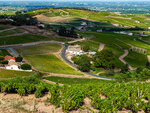 SMARTBOX - Coffret Cadeau Vol en montgolfière au-dessus des vignobles du Beaujolais en semaine -  Sport & Aventure