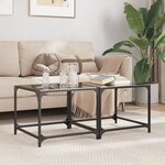 vidaXL Tables basses avec dessus en verre noir 2 Pièces 50x50x40 cm acier