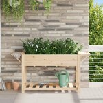 Jardinière vidaXL avec étagères 155x59x76 cm en bois de pin massif
