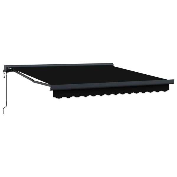 vidaXL Auvent Noir 300 x 250 x 165 cm Polyester et Aluminium