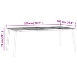 vidaXL Table de jardin anthracite 200x100x71 cm acier