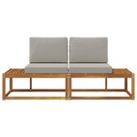 vidaXL Canapé d'extérieur en bout 2 Pièce Gris Naturel et Clair