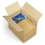 Caisse carton brune simple cannelure raja 25x25x19 cm (lot de 20)