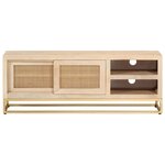 vidaXL Meuble TV 110x30x40 cm bois massif de manguier et fer