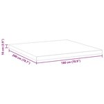 vidaXL Coussins de Matelas Blanc 180 x 200 cm