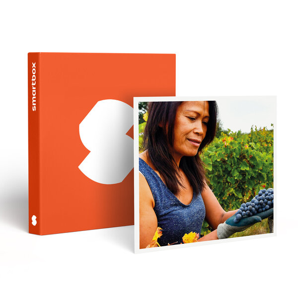 SMARTBOX - Coffret Cadeau Découverte de vignes biodynamiques avec dégustation de vins en Gironde -  Sport & Aventure