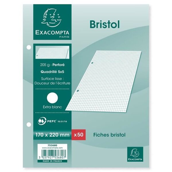 Fiches Bristol 500 Pièces - 125x85 Mm, Lignées Et Blanches - Avec Anneaux Et Couverture Kraft - Pour Révision, Vocabulaire