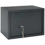 vidaXL Coffre avec Serrure à Clé Gris Foncé 25x35x25 cm Acier