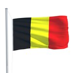 vidaXL Drapeau Belgique 90x150 cm