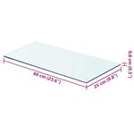 vidaXL Panneaux d'étagère 2 Pièces Verre Transparent 60x25 cm