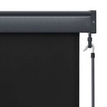 vidaXL Store roulant d'extérieur 80 x 250 cm Anthracite