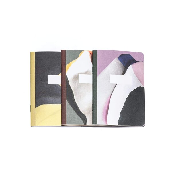 Carnets de poche A6 - papier 100% recyclé - Papier Tigre -  pack de 3
