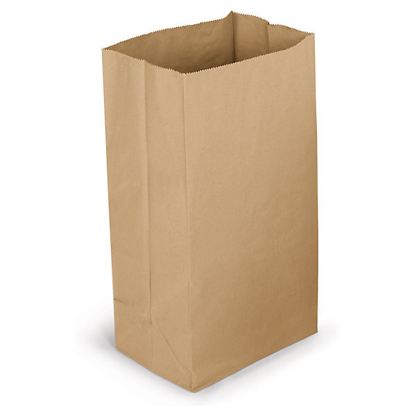 Sac kraft recyclé 25 x 40 x 15 cm (lot de 250)
