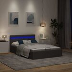 vidaXL Cadre de lit à rangement hydraulique sans matelas 120x200 cm