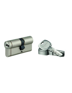THIRARD - Lot de 10 cylindres Transit 1 30x40mm  nickelé  5 clés - THIRARD