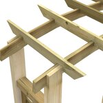 vidaXL Arche en treillis 110x60x210 cm Bois de pin massif imprégné