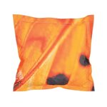 Coussin extérieur imperméable papillon small