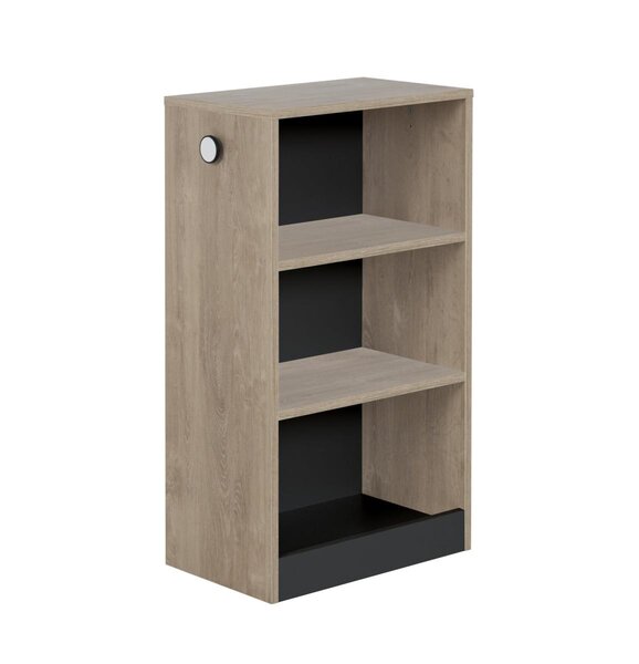 Petite bibliothèque mobile