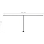 vidaXL Auvent manuel rétractable sur pied 600x350 cm Anthracite