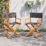 vidaXL Chaises de réalisateur pliables lot de 2 gris foncé tissu