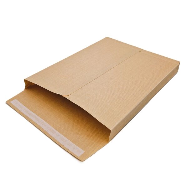 Lot de 10 Pochettes à soufflets 30 mm Kraft armé 130 gr 24 : 260 x 330 mm