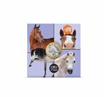 Animaux préférés des Français Monnaie de 5€ métal commun - Cheval