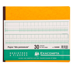 Piqûre tête paresseuse 31 lignes 30 colonnes sur 2 pages 80p EXACOMPTA