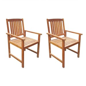 vidaXL Chaises de jardin lot de 2 Bois d'acacia massif Marron