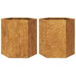 vidaXL Jardinières 2 Pièces hexagone 46x40x45 cm acier patinable