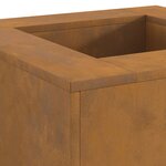 Foyer vidaXL Carré 60x60x30 cm en Acier Résistant aux Intempéries