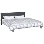 vidaXL Duvet d'hiver Argenté 200 x 200 cm Satin et Microfibre