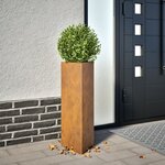 vidaXL Jardinières 2 Pièces triangulaire acier résistant aux intempéries
