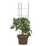 vidaXL Supports pour plantes de jardin 3 anneaux 5Pièces Vert 60 cm Acier